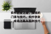 农村创业之路，赚钱的门道与技巧，农村创业，成功之路与盈利技巧