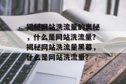揭秘网站洗流量的奥秘，什么是网站洗流量？揭秘网站洗流量黑幕，什么是网站洗流量？