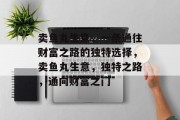 卖鱼丸生意,一条通往财富之路的独特选择,卖鱼丸生意,独特之路,通向财富之门 卖鱼丸生意,一条通往财富之路的独特选择,卖鱼丸生意,独特之路,通向财富之门