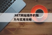 .NET网站插件的魅力与实用攻略 .NET网站插件的魅力与实用攻略