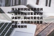 深入解析网站流量培训，提升网站访客量的秘诀解析，网站流量培训揭秘，高效提升访客量的策略解析