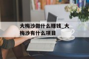 大梅沙做什么赚钱_大梅沙有什么项目