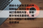 揭秘小众但有流量的神秘网站，如何在细分领域打造爆款内容，探索细分领域流量密码，揭秘小众网站打造爆款内容的奥秘