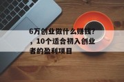 6万创业做什么赚钱?,10个适合初入创业者的盈利项目 6万创业做什么赚钱?,10个适合初入创业者的盈利项目