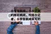 小学生新闻，小小记者的精彩瞬间，校园小记者，小学生新闻采写的精彩瞬间
