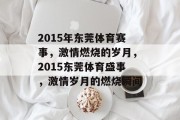 2015年东莞体育赛事，激情燃烧的岁月，2015东莞体育盛事，激情岁月的燃烧瞬间