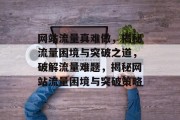 网站流量真难做，揭秘流量困境与突破之道，破解流量难题，揭秘网站流量困境与突破策略