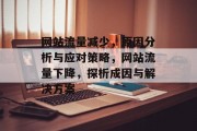 网站流量减少，原因分析与应对策略，网站流量下降，探析成因与解决方案