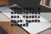 中国最大流量网站，揭秘其崛起之路与未来发展前景，中国流量巨头崛起之路，揭秘发展轨迹与未来展望