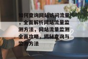 如何查询网站访问流量，全面解析网站流量监测方法，网站流量监测全面攻略，揭秘查询与监测方法