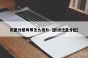 流量分层等级怎么提升（层级流量分配）