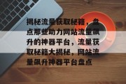 揭秘流量获取秘籍，盘点那些助力网站流量飙升的神器平台，流量获取秘籍大揭秘，网站流量飙升神器平台盘点