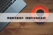 娱播帮流量提升（娱播平台如何卖货）