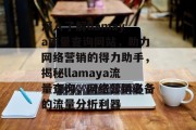 深入了解llamaya流量查询网站，助力网络营销的得力助手，揭秘llamaya流量查询，网络营销必备的流量分析利器