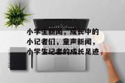 小学生新闻，成长中的小记者们，童声新闻，小学生记者的成长足迹