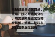 揭秘烧流量运营网站，策略、技巧与案例分析，烧流量网站运营攻略全解析，策略、技巧与实战案例深度剖析