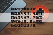 精准估计网站流量，掌握这五大方法，让你的网站走向成功，网站流量精准估算，五大策略助你迈向成功之路