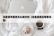 流量速率服务怎么提升的（流量速度在哪里设置）
