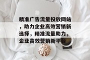 精准广告流量投放网站，助力企业高效营销新选择，精准流量助力，企业高效营销新平台