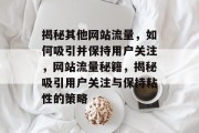 揭秘其他网站流量，如何吸引并保持用户关注，网站流量秘籍，揭秘吸引用户关注与保持粘性的策略