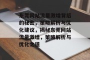 东莞网站流量激增背后的秘密，策略解析与优化建议，揭秘东莞网站流量激增，策略解析与优化之道