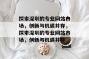 探索深圳的专业网站市场，创新与机遇并存，探索深圳的专业网站市场，创新与机遇并存