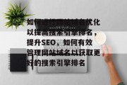 如何进行网站域名优化以提高搜索引擎排名，提升SEO，如何有效管理网站域名以获取更好的搜索引擎排名