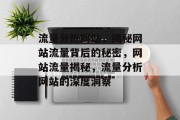 流量分析网站，揭秘网站流量背后的秘密，网站流量揭秘，流量分析网站的深度洞察