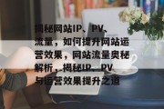 揭秘网站IP、PV、流量，如何提升网站运营效果，网站流量奥秘解析，揭秘IP、PV与运营效果提升之道