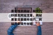 黑客技术揭秘，如何巧妙提高网站流量，揭秘黑客流量提升技巧，网站流量提升秘籍