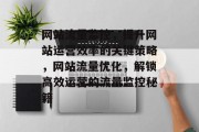 网站流量监控，提升网站运营效率的关键策略，网站流量优化，解锁高效运营的流量监控秘籍