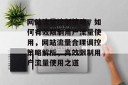 网站流量控制策略，如何有效限制用户流量使用，网站流量合理调控策略解析，高效限制用户流量使用之道