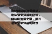 揭秘网站刷流量弊端，泡沫繁荣背后的隐忧，网站刷流量之痛，揭开泡沫繁荣背后的隐忧