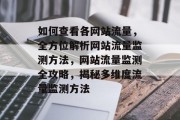 如何查看各网站流量，全方位解析网站流量监测方法，网站流量监测全攻略，揭秘多维度流量监测方法