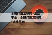 合肥打造互联网+企业平台，合肥打造互联网+企业平台