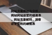 网站流量统计与分析，揭秘网站运营的晴雨表，网站流量解码，洞察运营成败的晴雨表