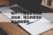 喀什,一份适合你的投资选择,喀什的投资机遇与风险解析 喀什,一份适合你的投资选择,喀什的投资机遇与风险解析