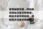 拿网站做流量，揭秘高效网站流量获取策略，网站流量获取秘籍，揭秘高效流量获取策略