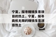 宁夏,探寻赚钱生意项目的热土,宁夏,探寻商机无限的赚钱生意项目热土 宁夏,探寻赚钱生意项目的热土,宁夏,探寻商机无限的赚钱生意项目热土