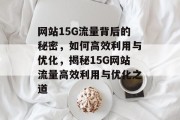 网站15G流量背后的秘密，如何高效利用与优化，揭秘15G网站流量高效利用与优化之道