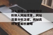 深入解析，如何有效分析别人网站流量，网站流量分析之道，揭秘高效流量解析策略