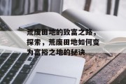 荒废田地的致富之路,探索,荒废田地如何变为富裕之地的秘诀 荒废田地的致富之路,探索,荒废田地如何变为富裕之地的秘诀
