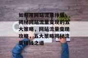 如何用网站流量挣钱，揭秘网站流量变现的五大策略，网站流量变现攻略，五大策略揭秘流量赚钱之道