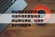 网站降权背后的真相，垃圾外链的罪魁祸首，网站降权揭秘，垃圾外链的致命影响