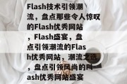 Flash技术引领潮流，盘点那些令人惊叹的Flash优秀网站，Flash盛宴，盘点引领潮流的Flash优秀网站，潮流之选，盘点引领风尚的Flash优秀网站盛宴