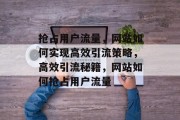 抢占用户流量，网站如何实现高效引流策略，高效引流秘籍，网站如何抢占用户流量