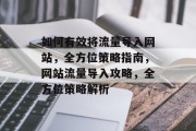 如何有效将流量导入网站，全方位策略指南，网站流量导入攻略，全方位策略解析