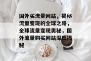国外买流量网站，揭秘流量变现的全球之路，全球流量变现奥秘，国外流量购买网站深度揭秘