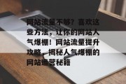 网站流量不够？喜欢这些方法，让你的网站人气爆棚！网站流量提升攻略，揭秘人气爆棚的网站运营秘籍