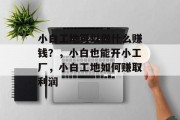 小白工地可以做什么赚钱?,小白也能开小工厂,小白工地如何赚取利润 小白工地可以做什么赚钱?,小白也能开小工厂,小白工地如何赚取利润